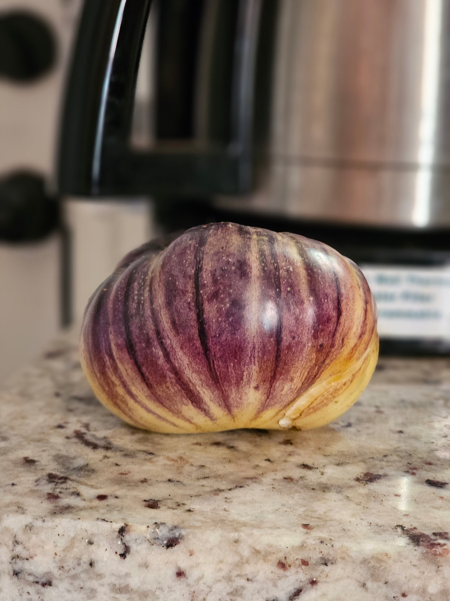 Sart Roloise Heirloom Tomato Seeds.