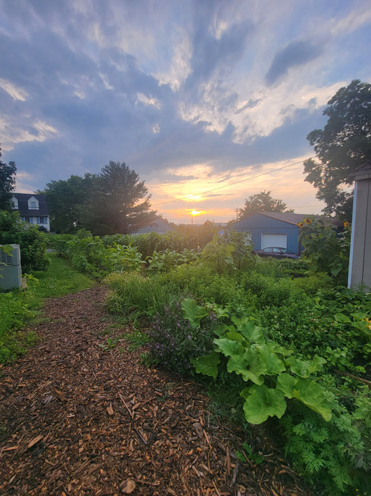 Polyculture Pollinator Garden Installation.