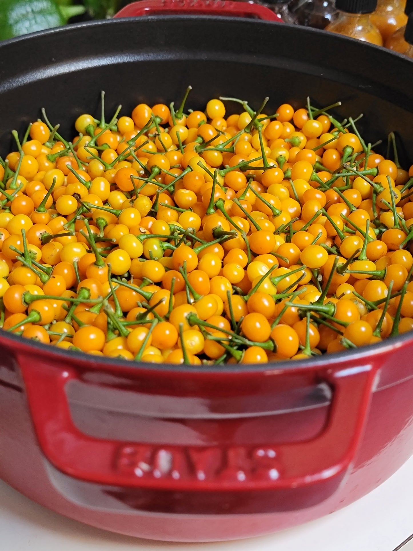 Aji Charapita Pepper Seeds.