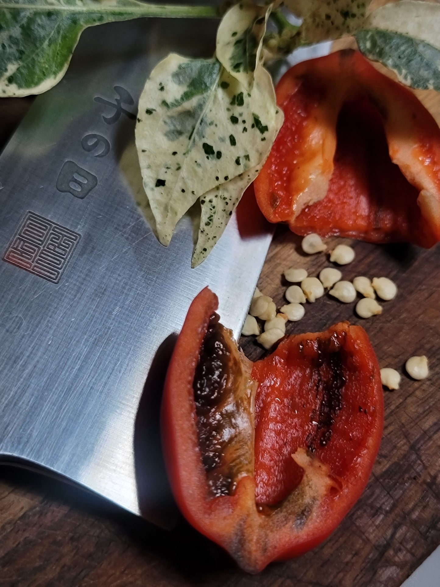Chocolate Pinstripe Pepper Seeds.