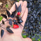 Black Pearl Pepper Seeds.