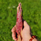 Glass Gem Corn Seeds (Purple Pheno).