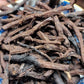 Red Leaf He Shou Wu Live Plant - Polygonum multiflorum.