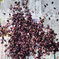 Hopi Dye Sunflower Seeds.  Tceqa' Qu' Si
