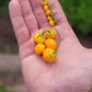 Aji Charapita x Scotch Bonnet F2 Seeds.