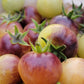 Blue Cream Cherry Tomato Seeds.