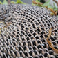 Mammoth Sunflower Seeds.