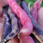 Cherokee Trail of Tears Bean Seeds.