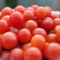 Currant Tomato Seeds - Solanum pimpinellifolium.