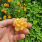 Peach Ranger Pepper Seeds.