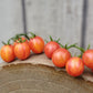 Sunrise Bumblebee Cherry Tomato Seeds.