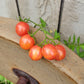 Sunrise Bumblebee Cherry Tomato Seeds.