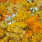 African Marigold Seeds - Crackerjack variety.